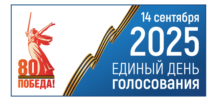 Выборы в ТГД 8 созыва